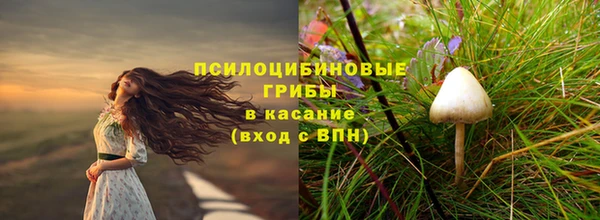 СК Алексеевка