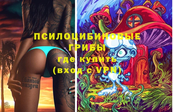 прущая мука Алзамай