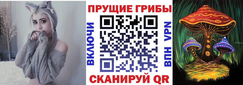 площадка наркотические препараты как найти ОМГ ОМГ ССЫЛКА Анива Псилоцибиновые грибы Psilocybine cubensis